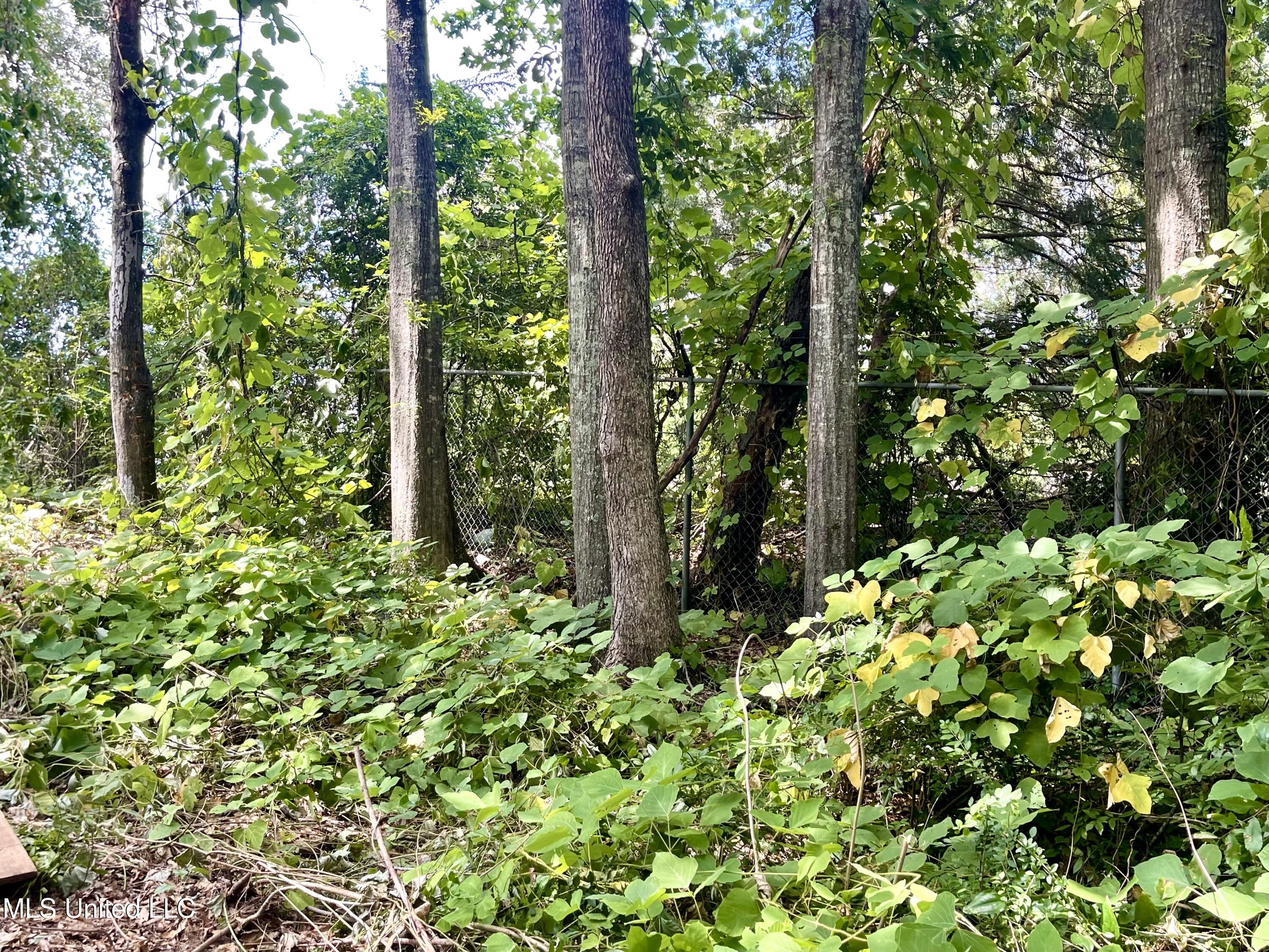 402 Drury Lane Property Photo 10