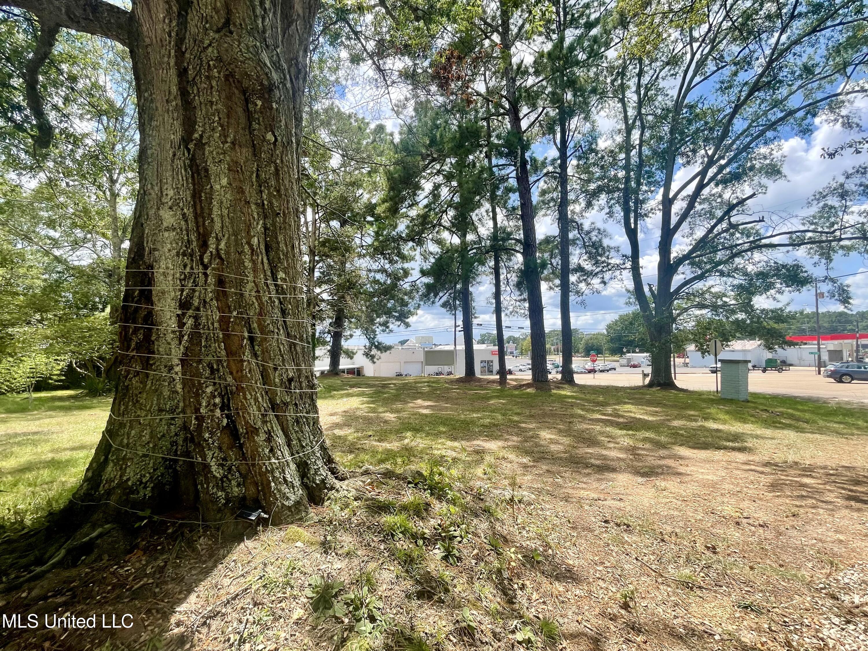 402 Drury Lane Property Photo 16