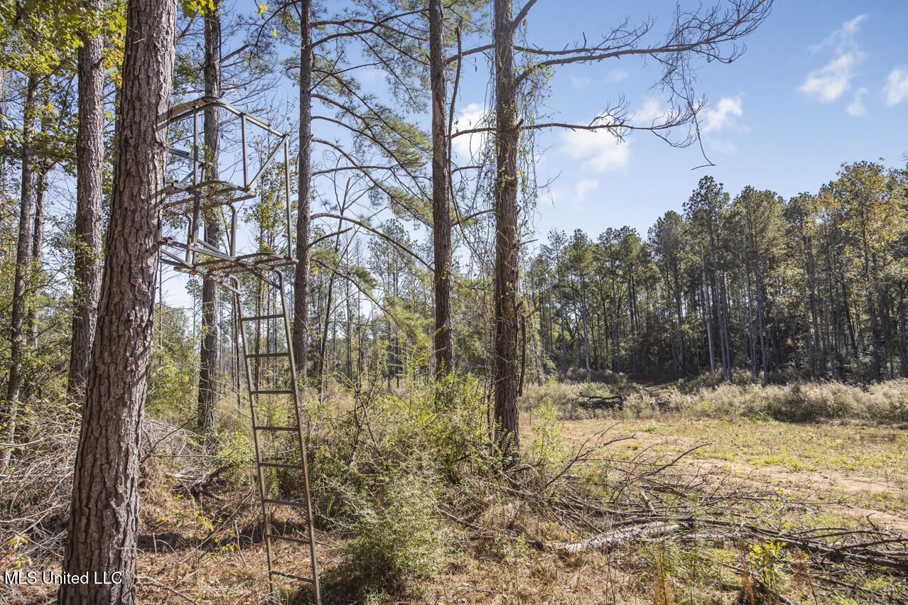 0000 Ms- 33 Property Photo 1