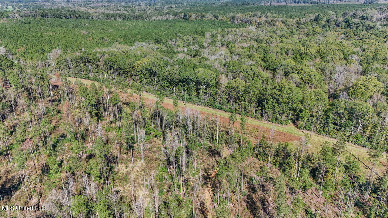 0000 Ms- 33 Property Photo 2