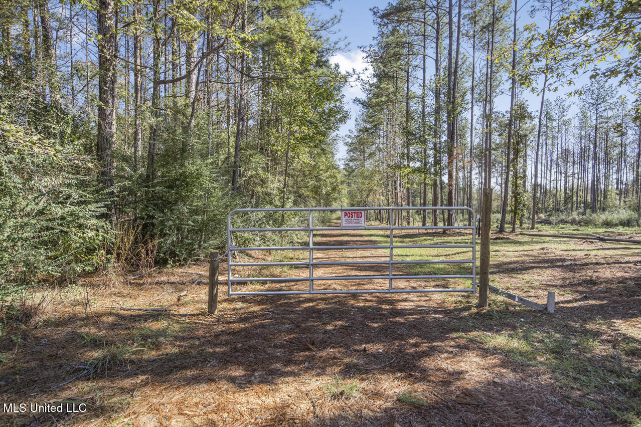 0000 Ms- 33 Property Photo 4