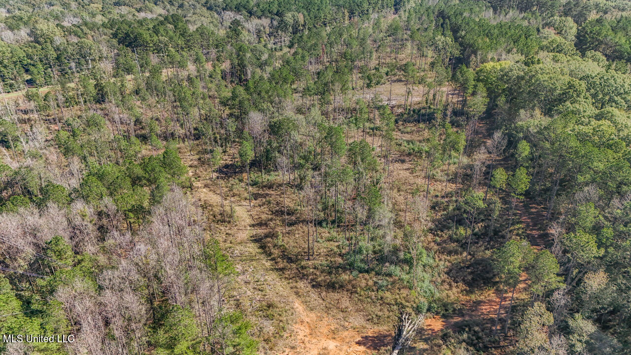 0000 Ms- 33 Property Photo 5