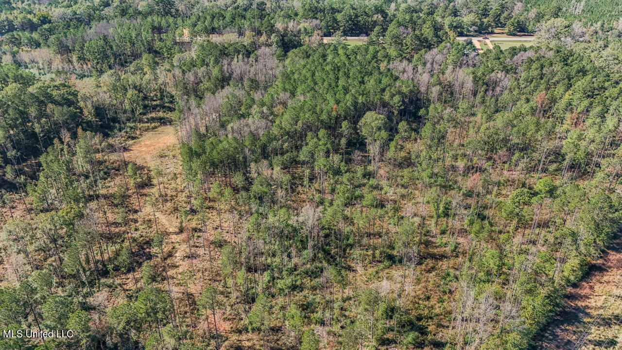 0000 Ms- 33 Property Photo 6