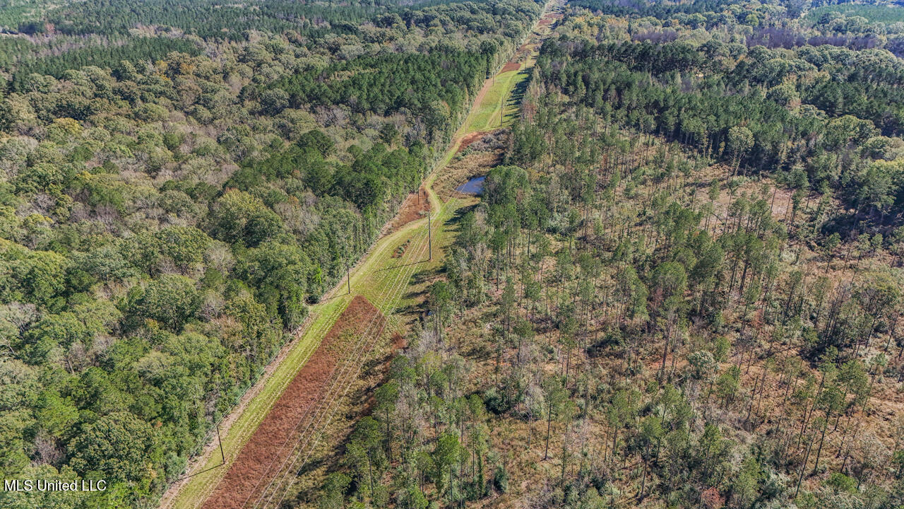 0000 Ms- 33 Property Photo 7