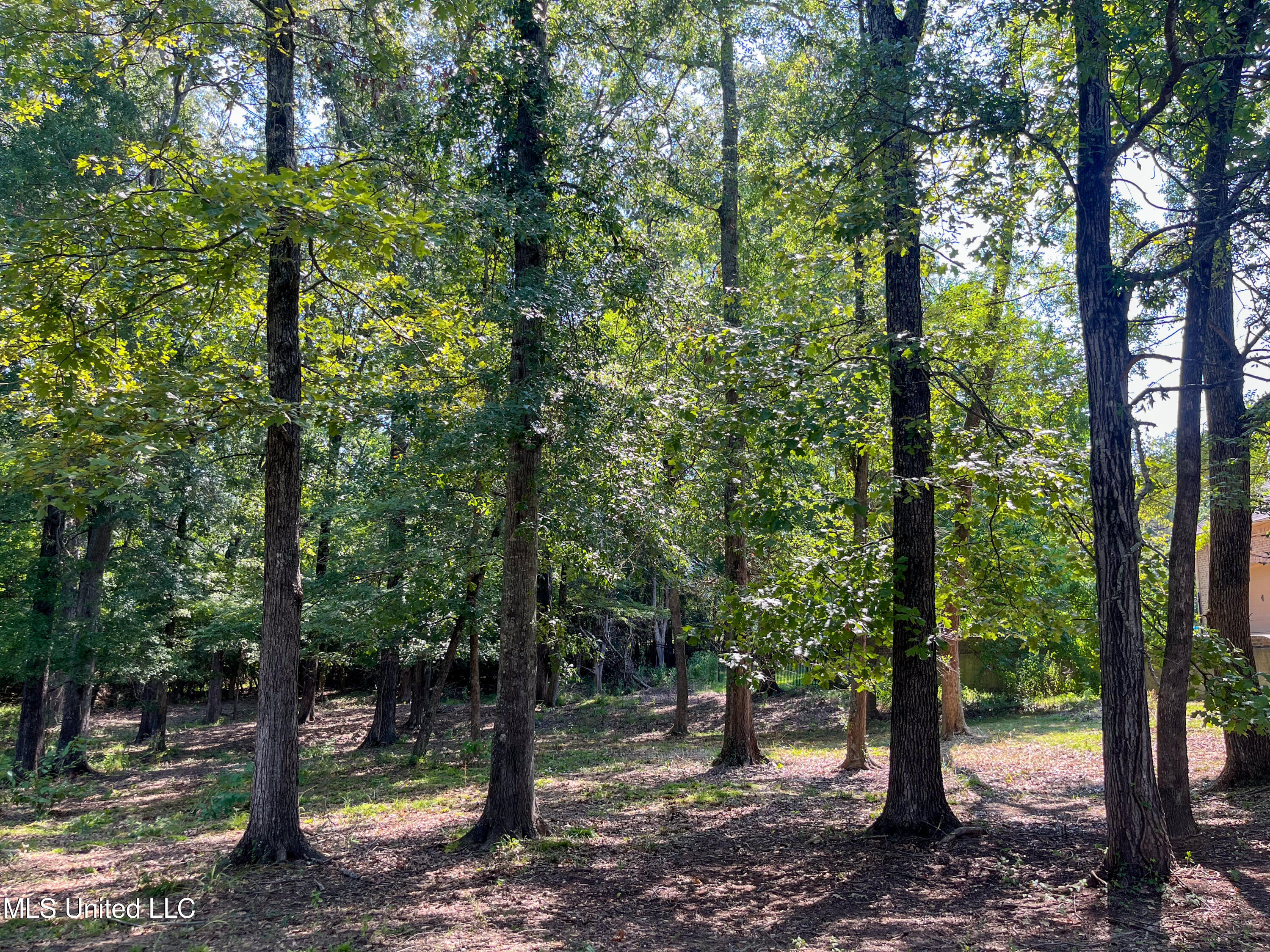 Cottesbrooke Circle Property Photo 2