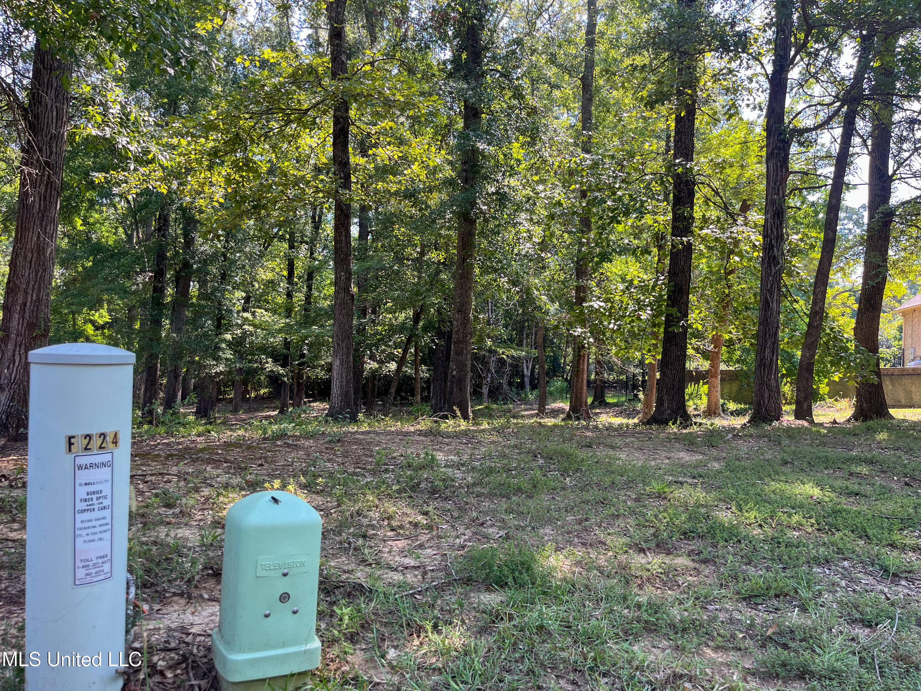 Cottesbrooke Circle Property Photo 4