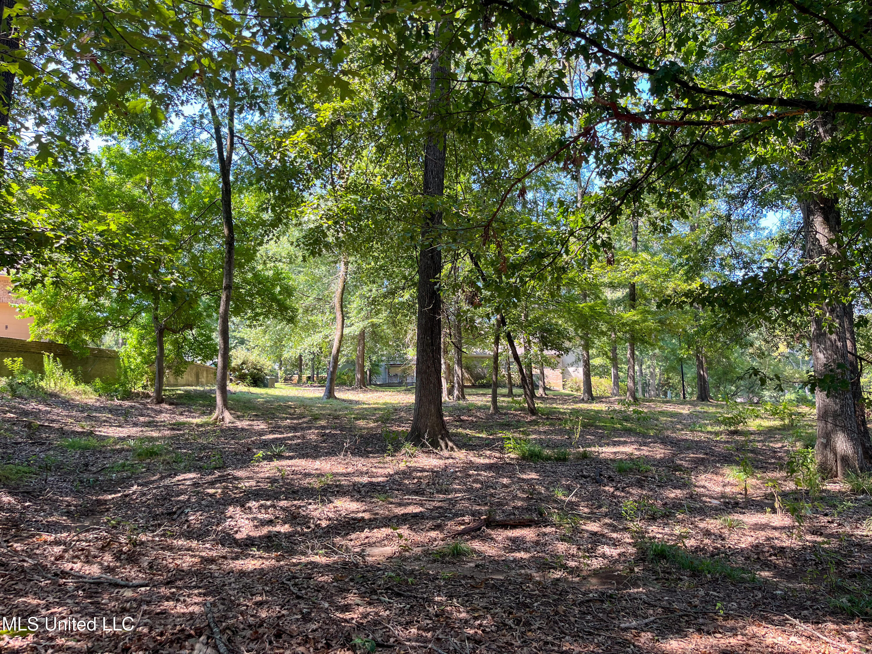 Cottesbrooke Circle Property Photo 11