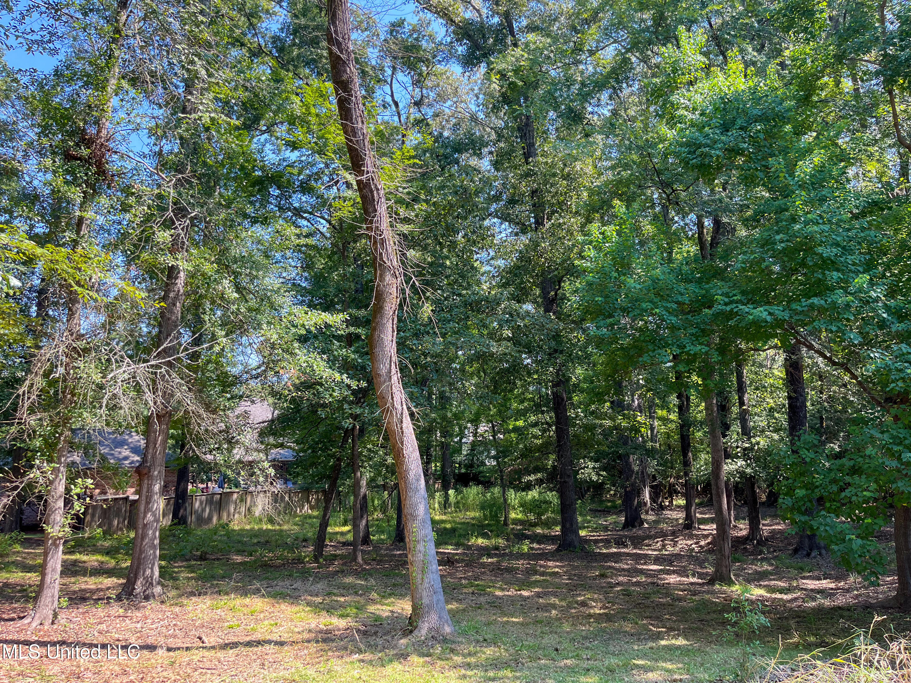 Cottesbrooke Circle Property Photo 15