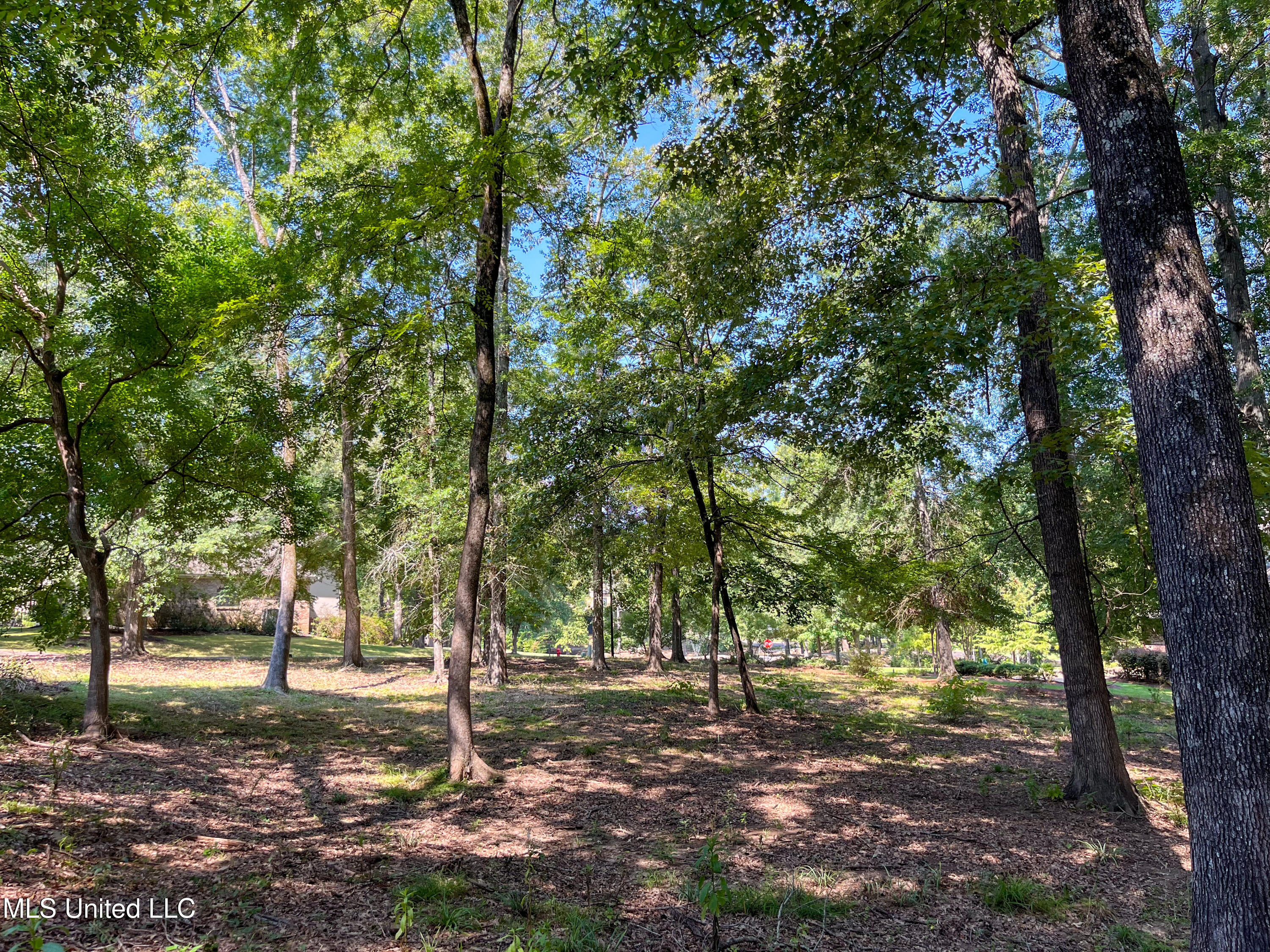 Cottesbrooke Circle Property Photo 23