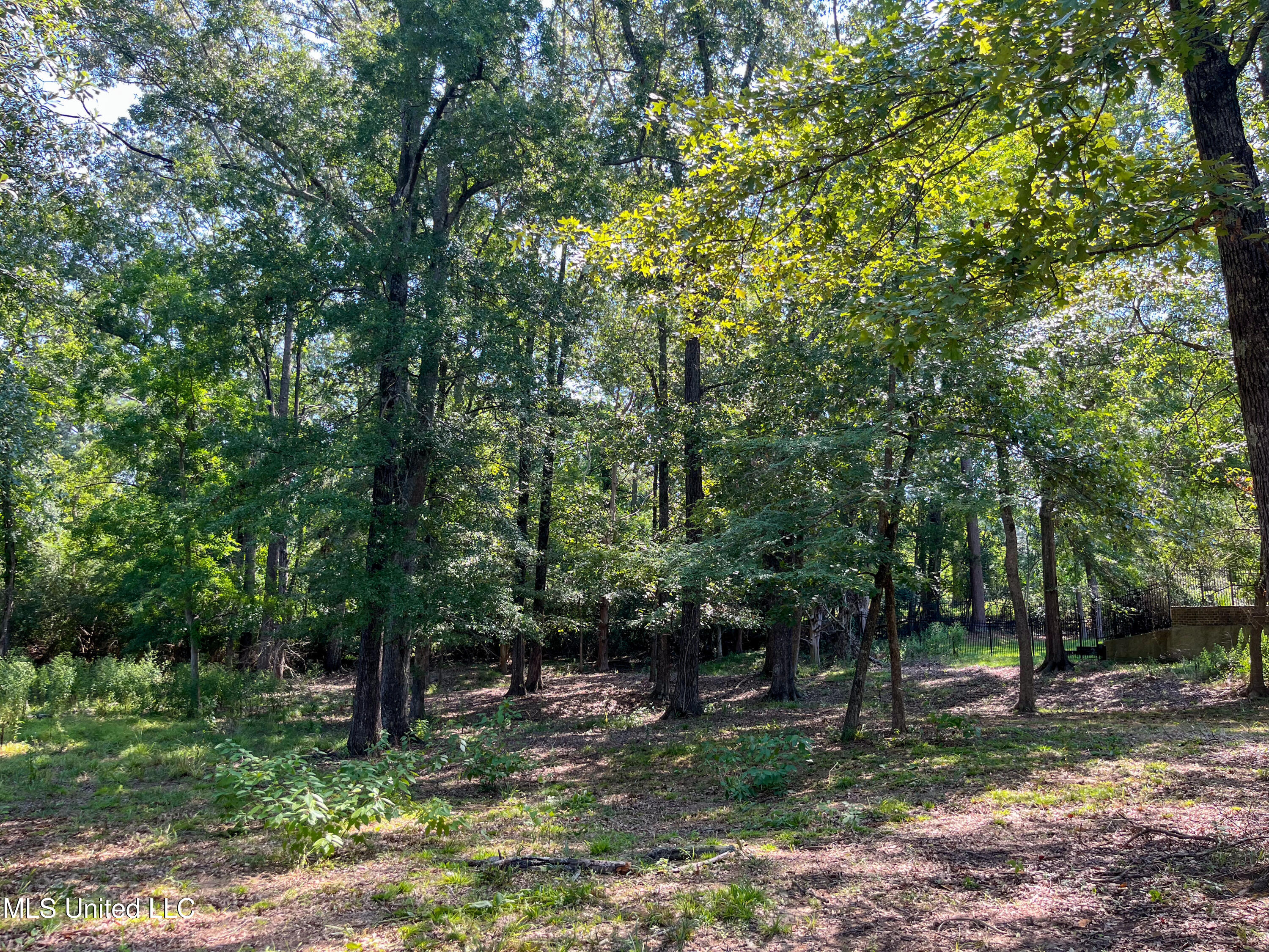 Cottesbrooke Circle Property Photo 24