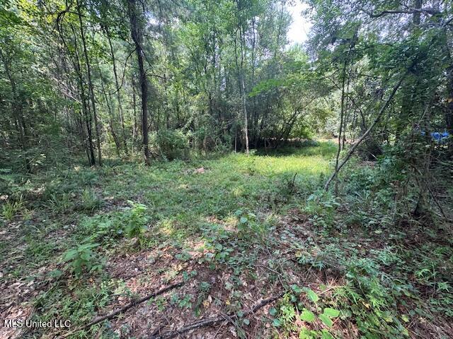 0 Old Hwy 24 Property Photo 1