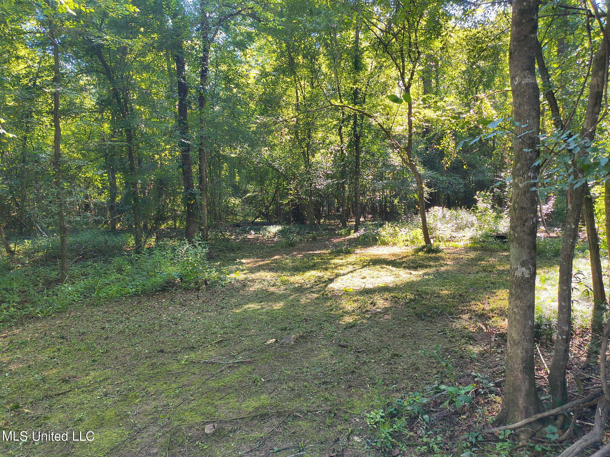 0 Carter Lake Drive Property Photo 1