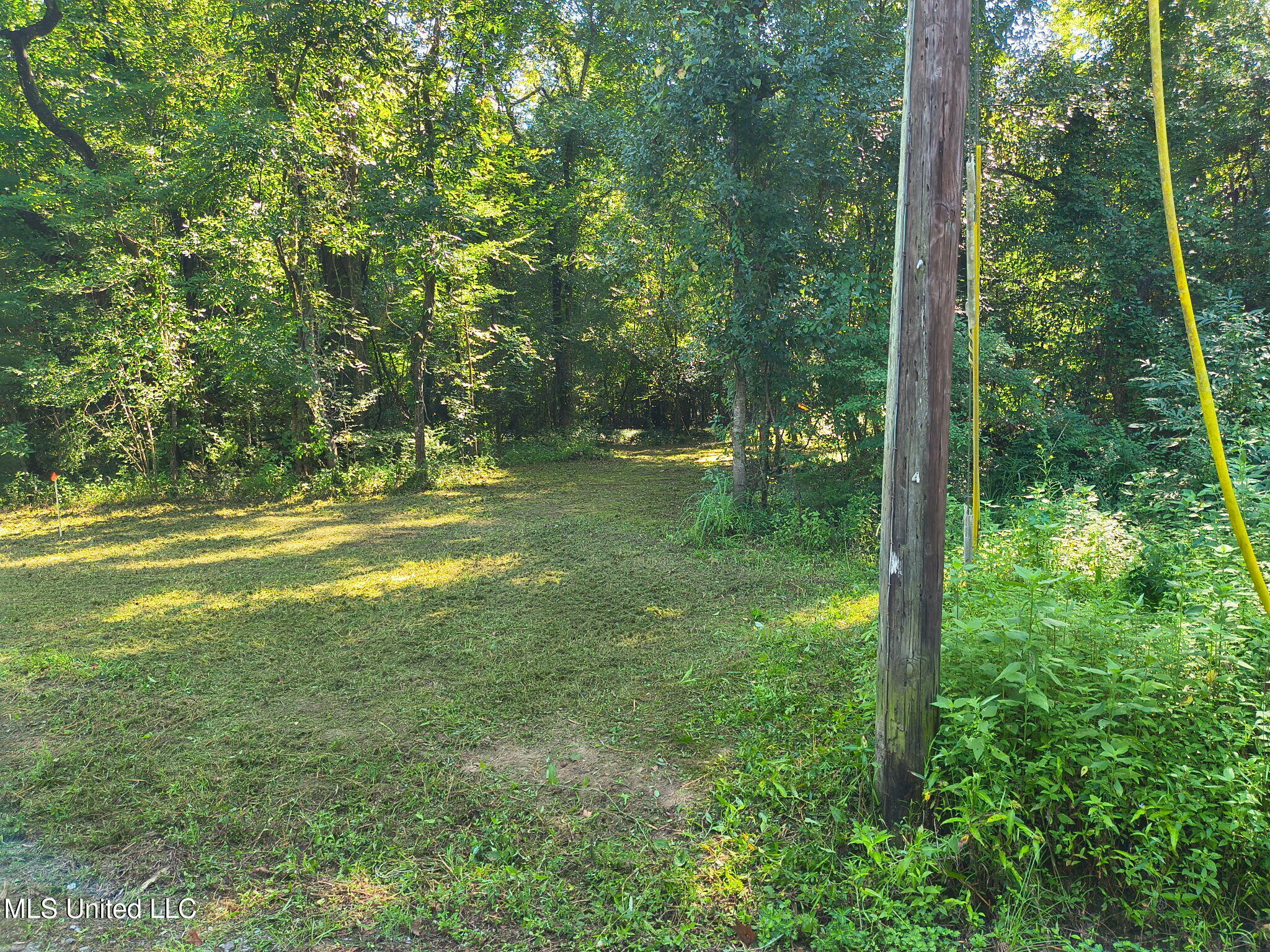 0 Carter Lake Drive Property Photo 2