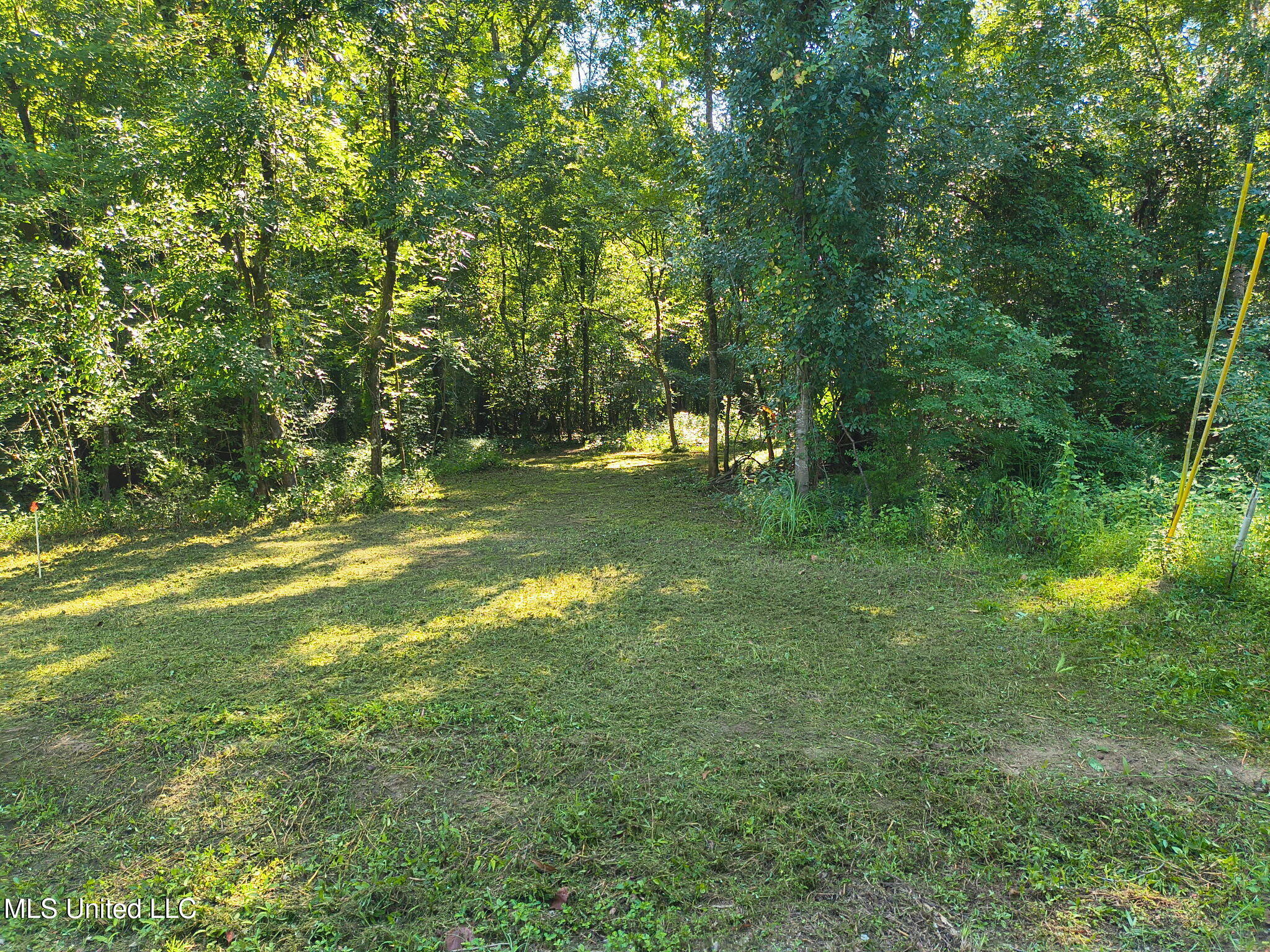 0 Carter Lake Drive Property Photo 3