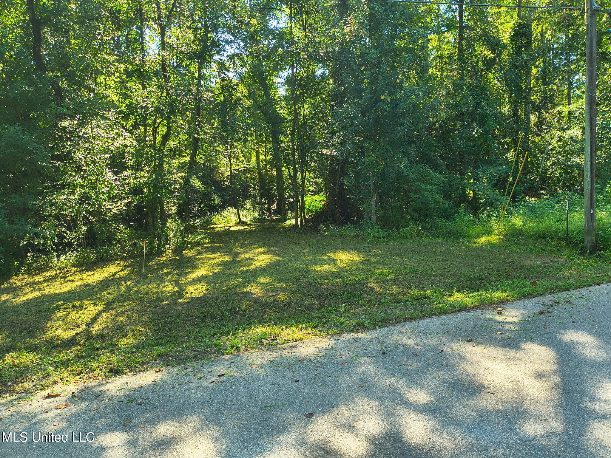 0 Carter Lake Drive Property Photo 4