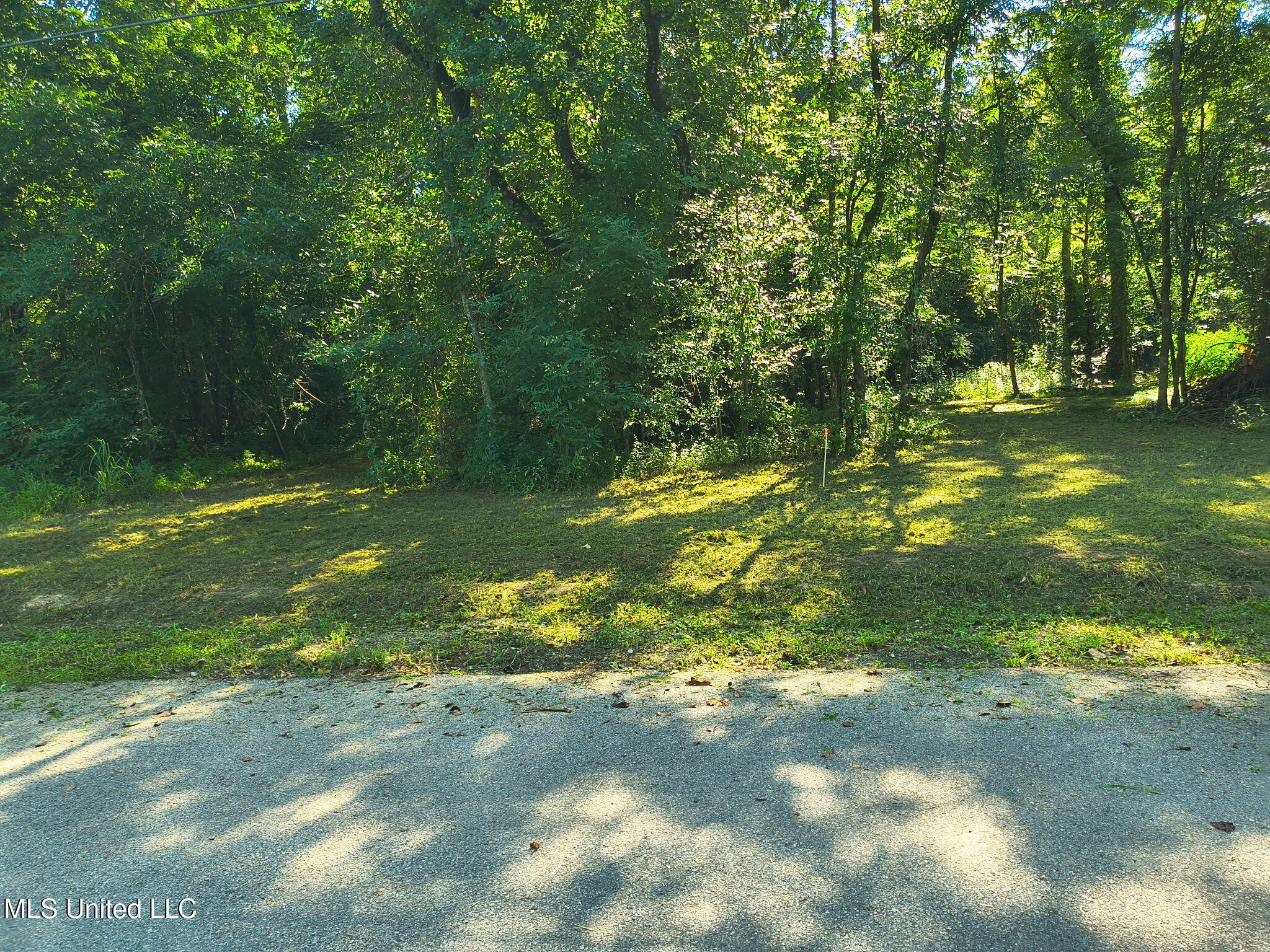 0 Carter Lake Drive Property Photo 5