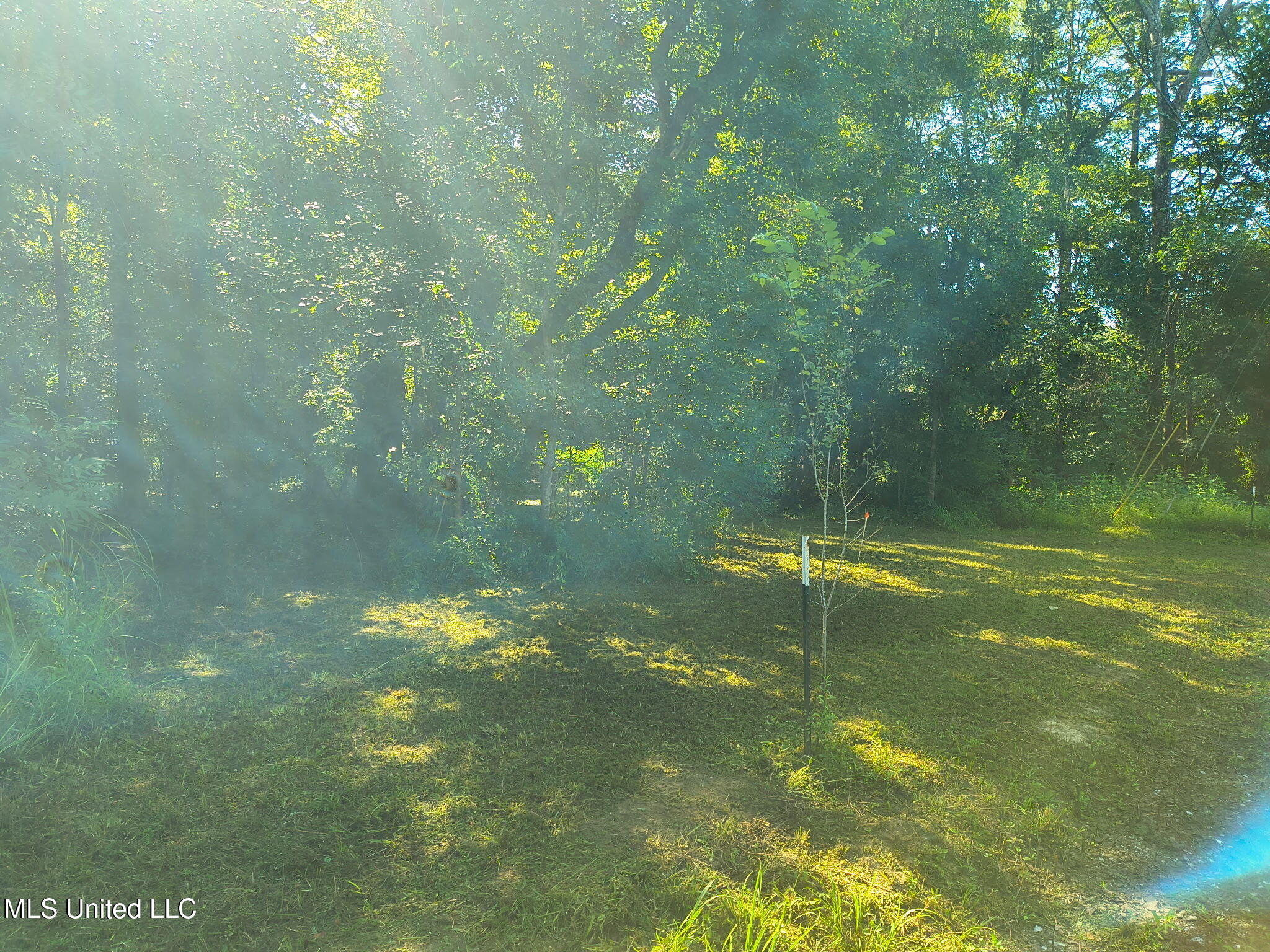 0 Carter Lake Drive Property Photo 9