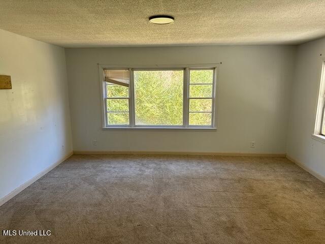 28 Bud Stevens Road Property Photo 5