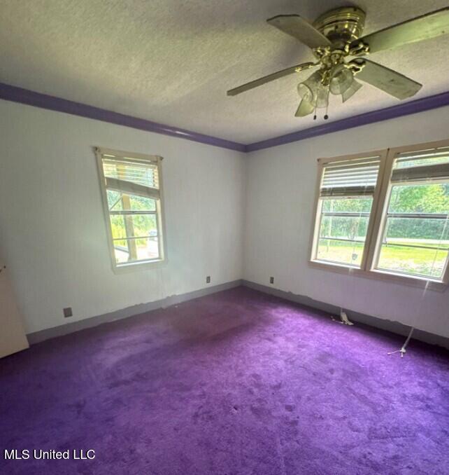 28 Bud Stevens Road Property Photo 6