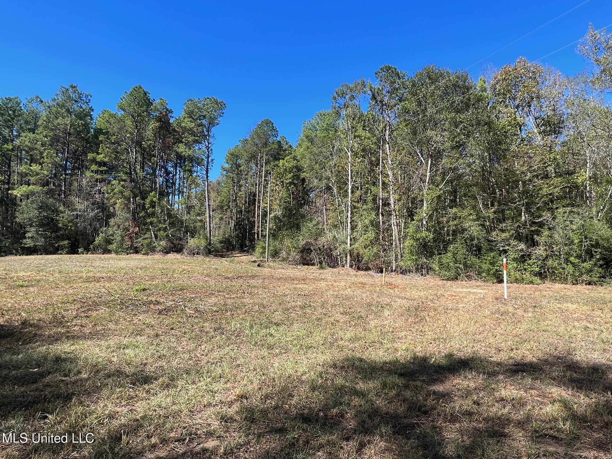 Xxx W A Walker Road Property Photo 3