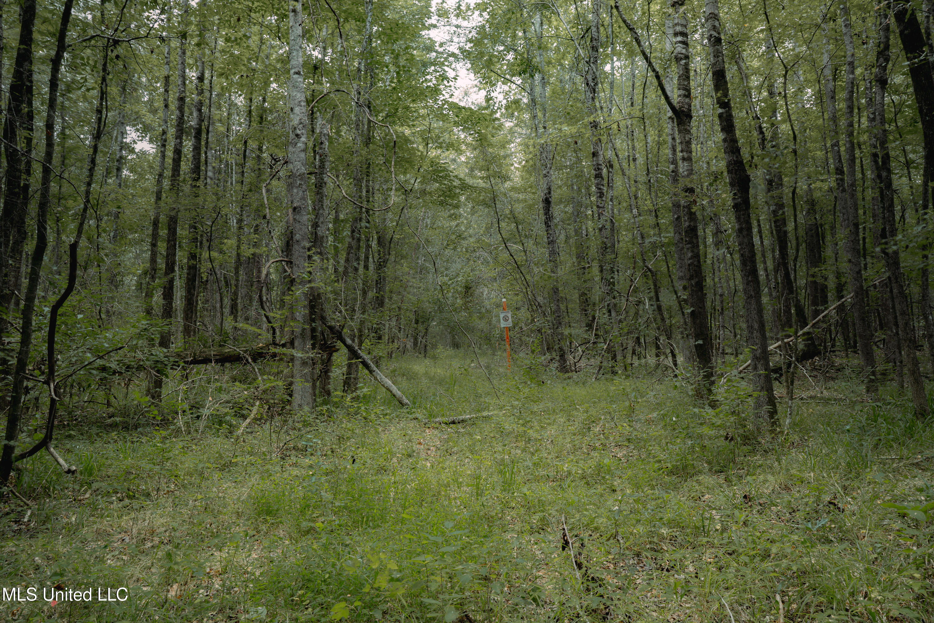 000 Dog Pen Rd Property Photo 2