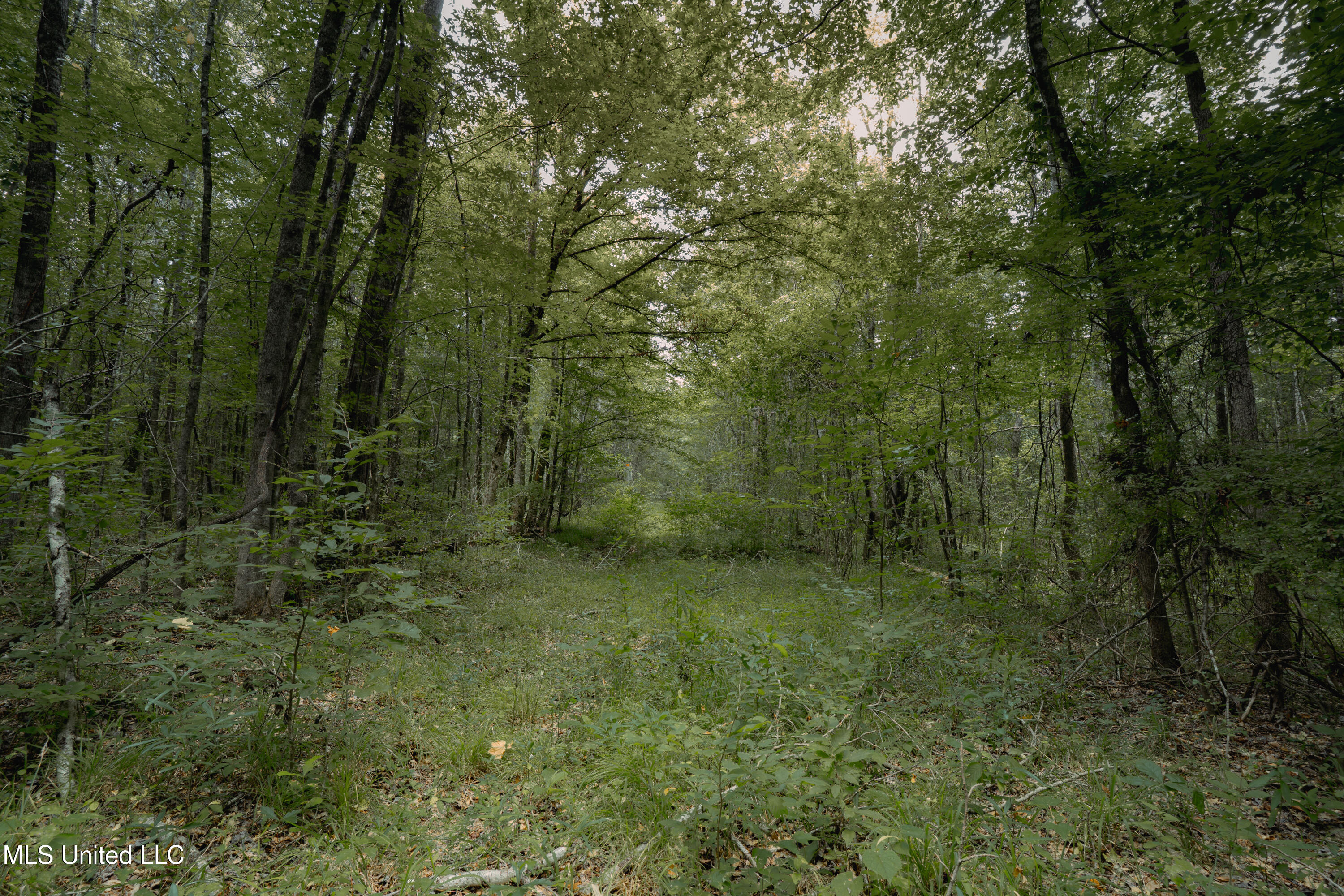 000 Dog Pen Rd Property Photo 3