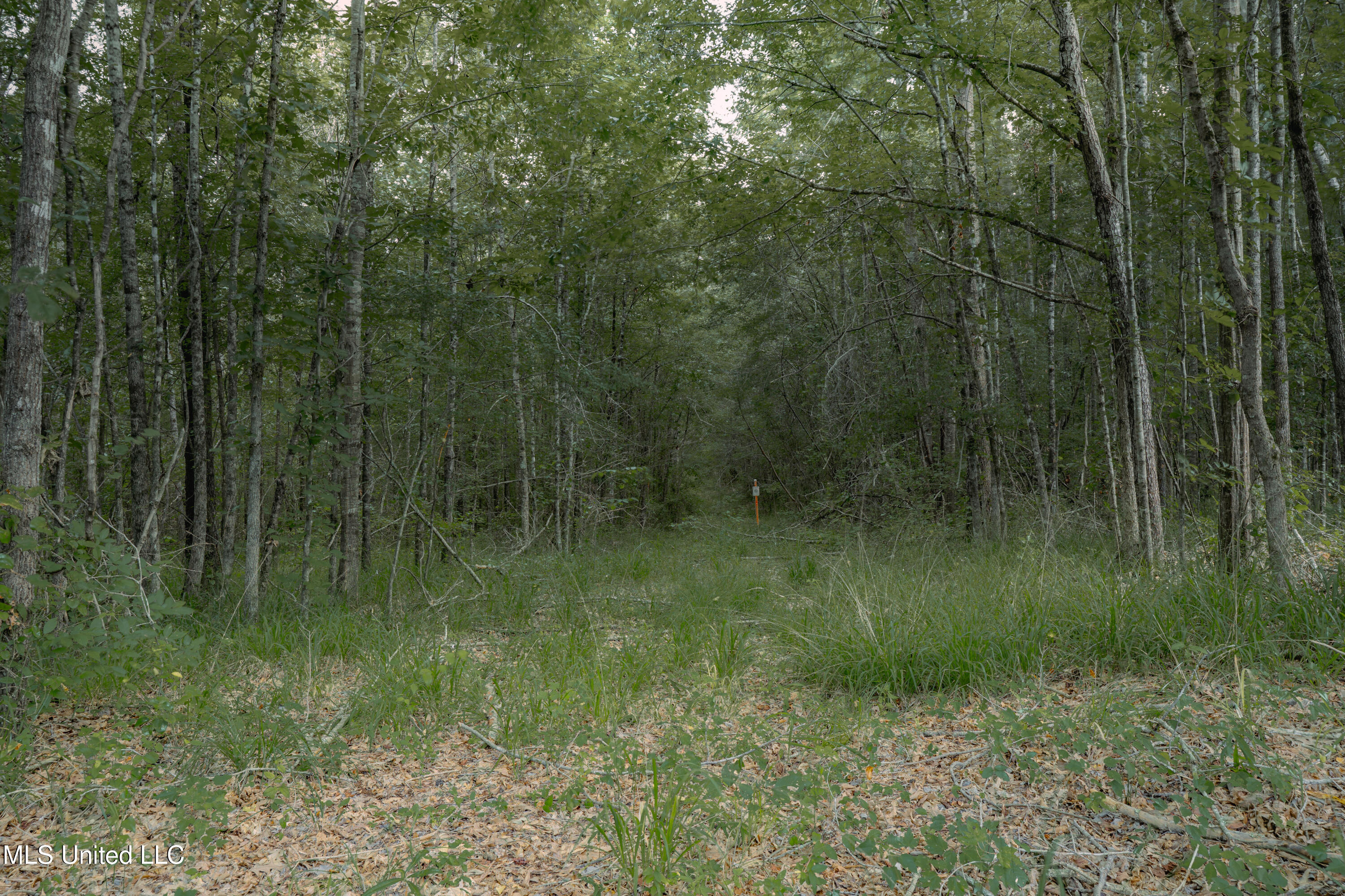 000 Dog Pen Rd Property Photo 4