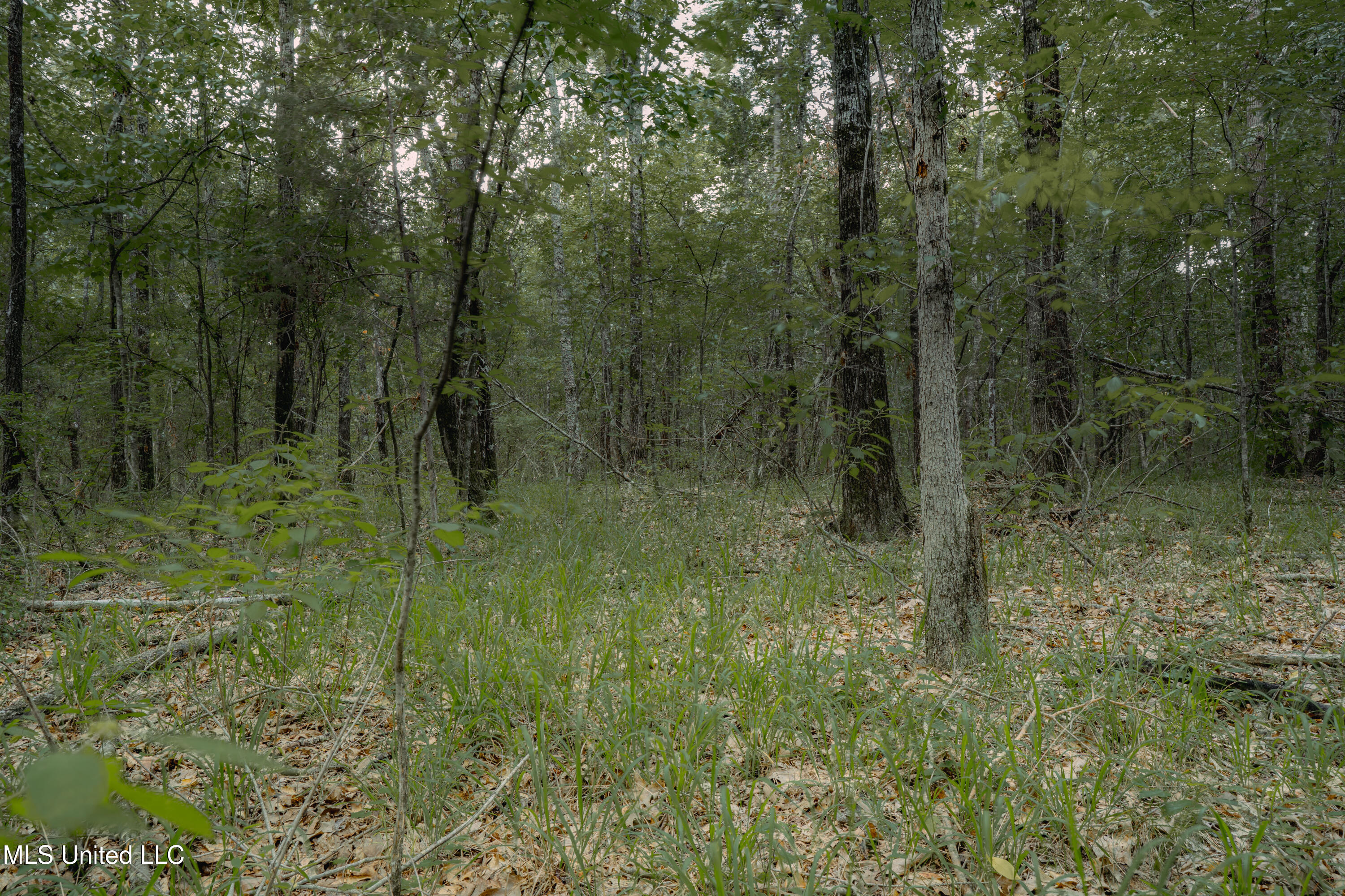 000 Dog Pen Rd Property Photo 5