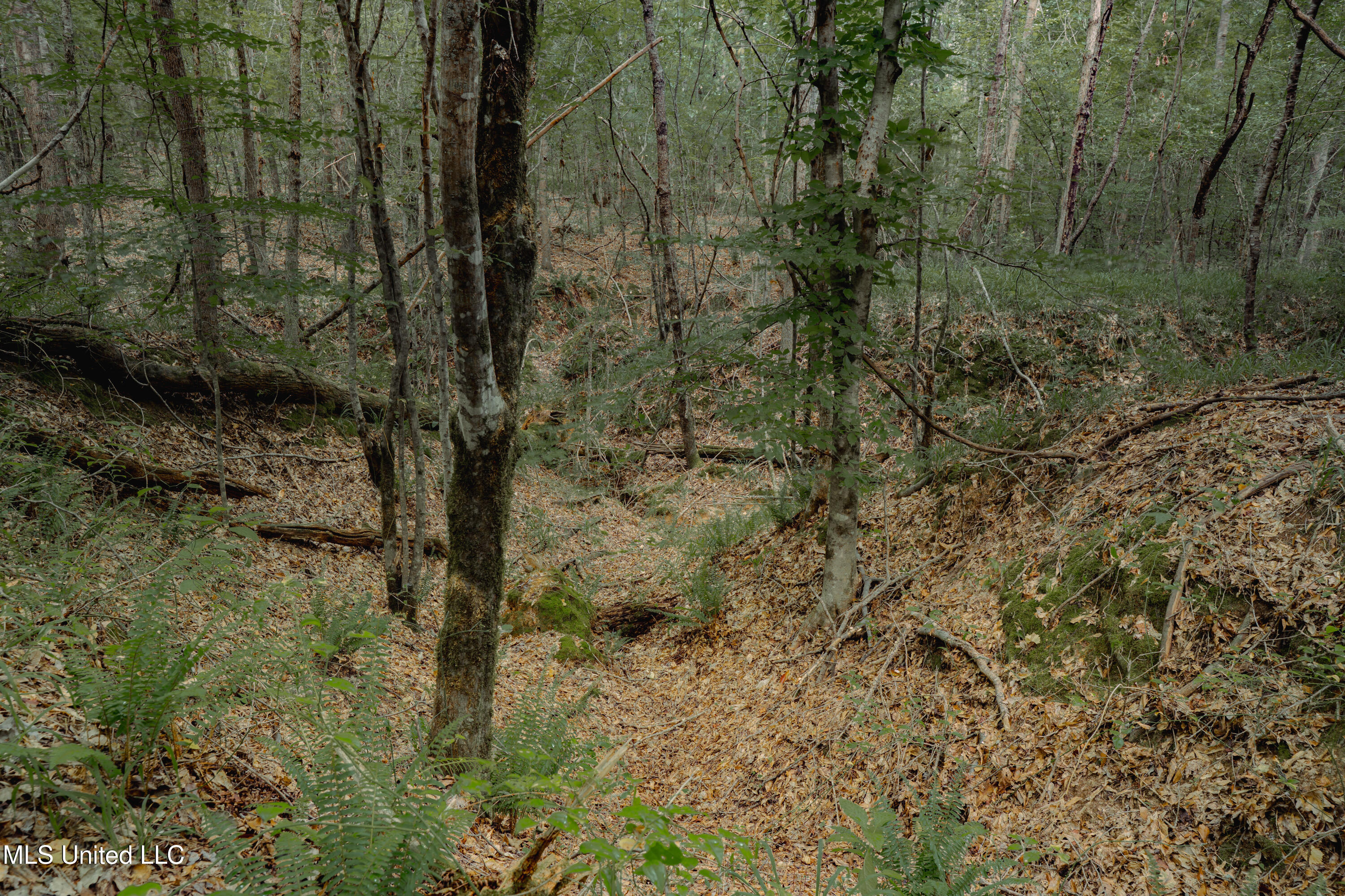 000 Dog Pen Rd Property Photo 9