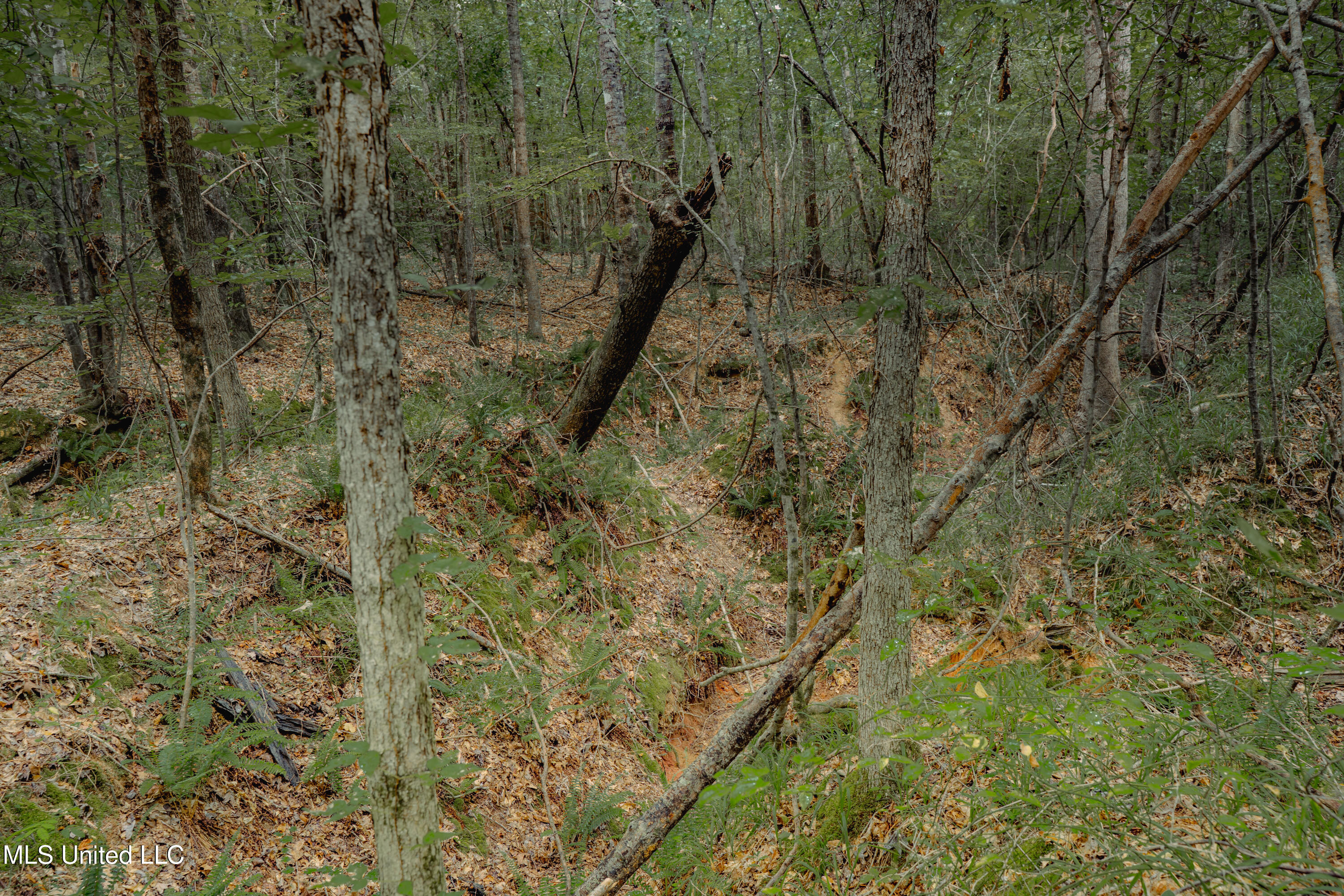 000 Dog Pen Rd Property Photo 11