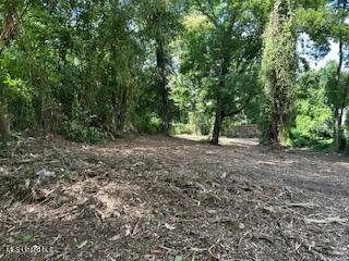 0 Gillespie Street Property Photo 1