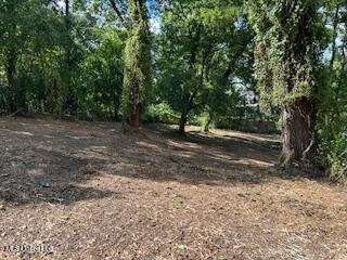 0 Gillespie Street Property Photo 2