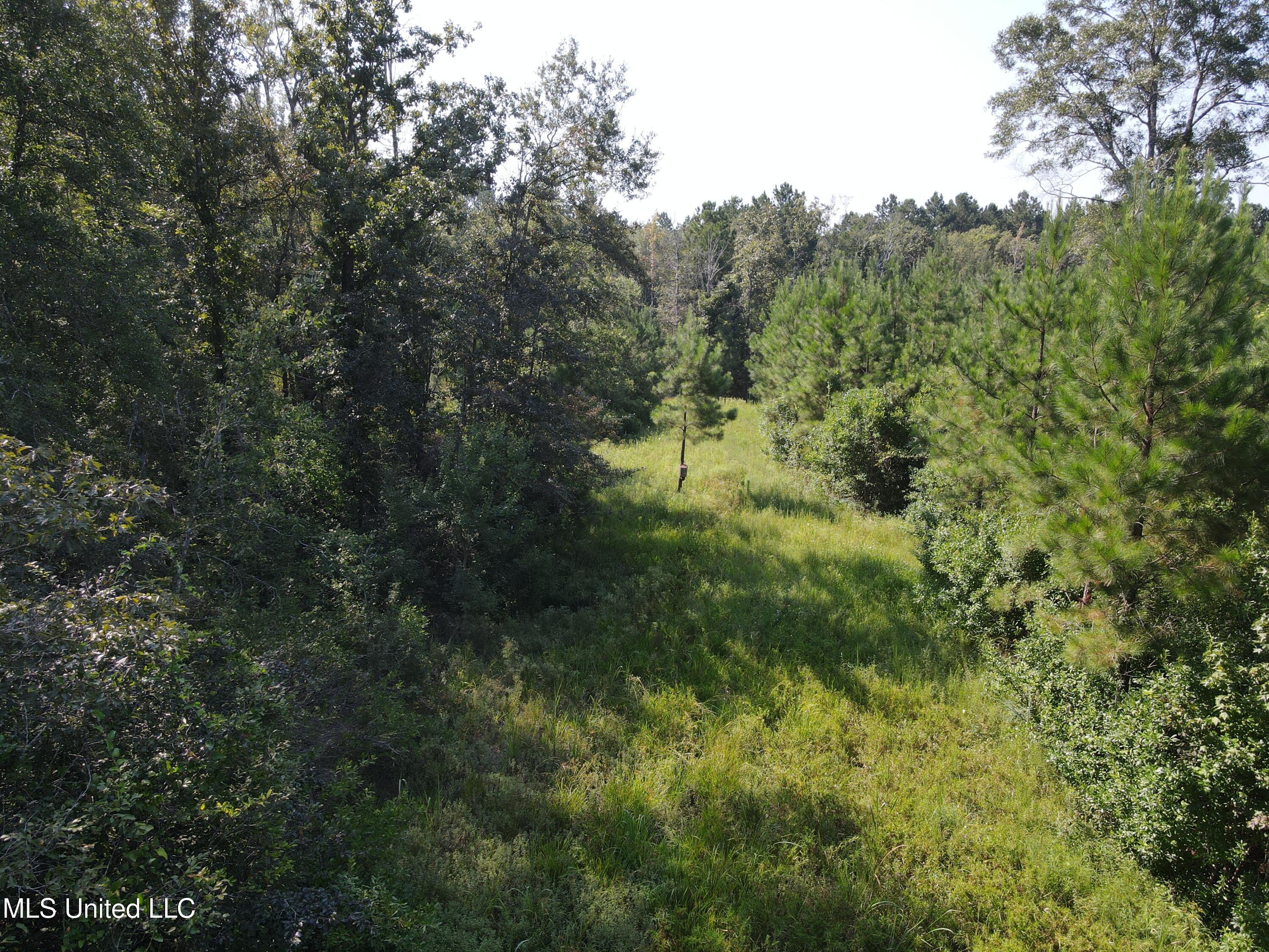 000 Davis Road Property Photo 1