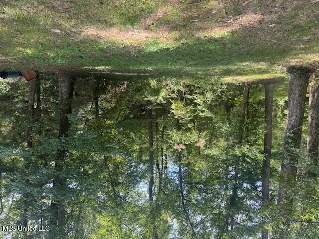 1270 Hwy 469 Property Photo 2