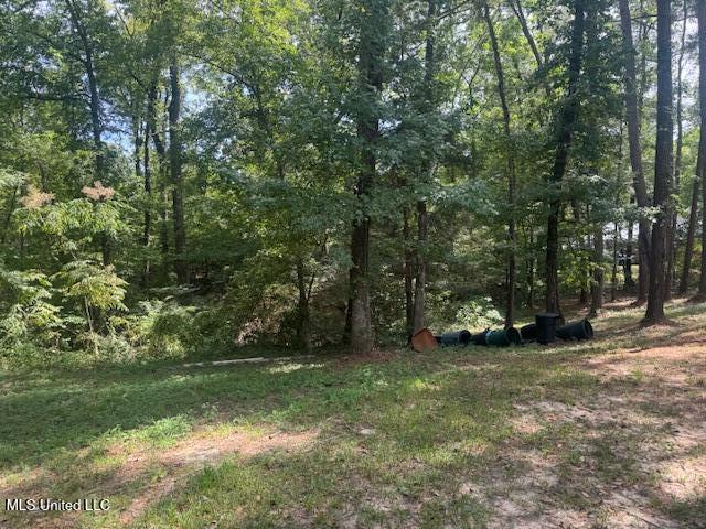 1270 Hwy 469 Property Photo 3