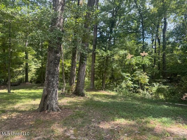 1270 Hwy 469 Property Photo 4