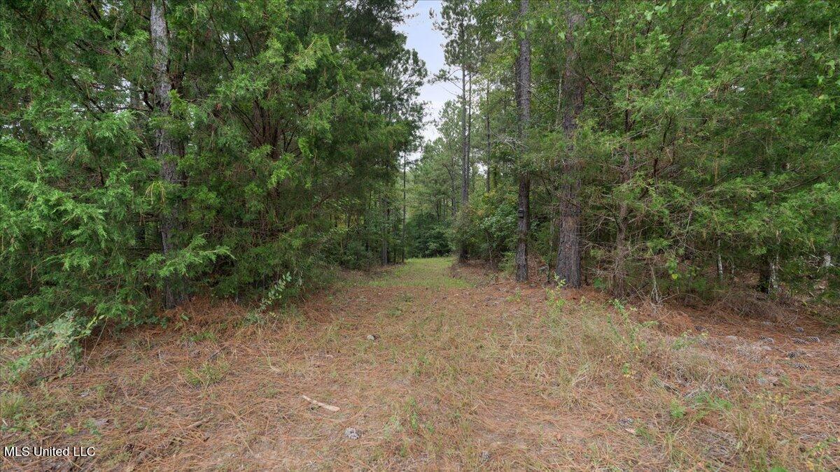 1270 Hwy 469 Property Photo 5