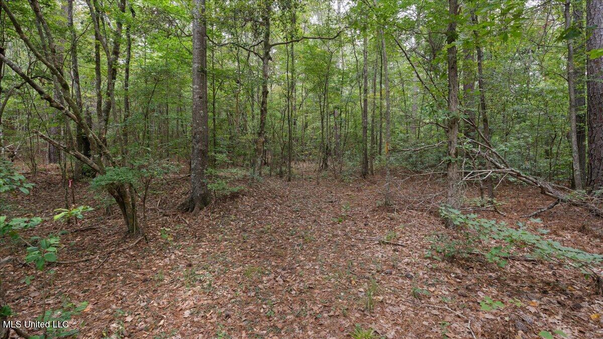 1270 Hwy 469 Property Photo 6