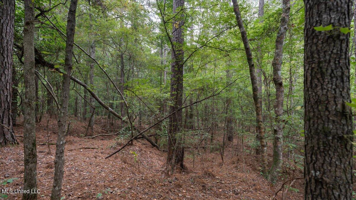 1270 Hwy 469 Property Photo 7