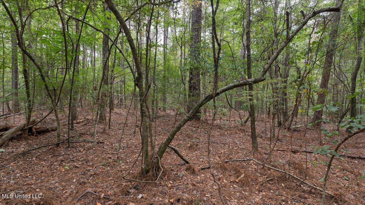 1270 Hwy 469 Property Photo 8