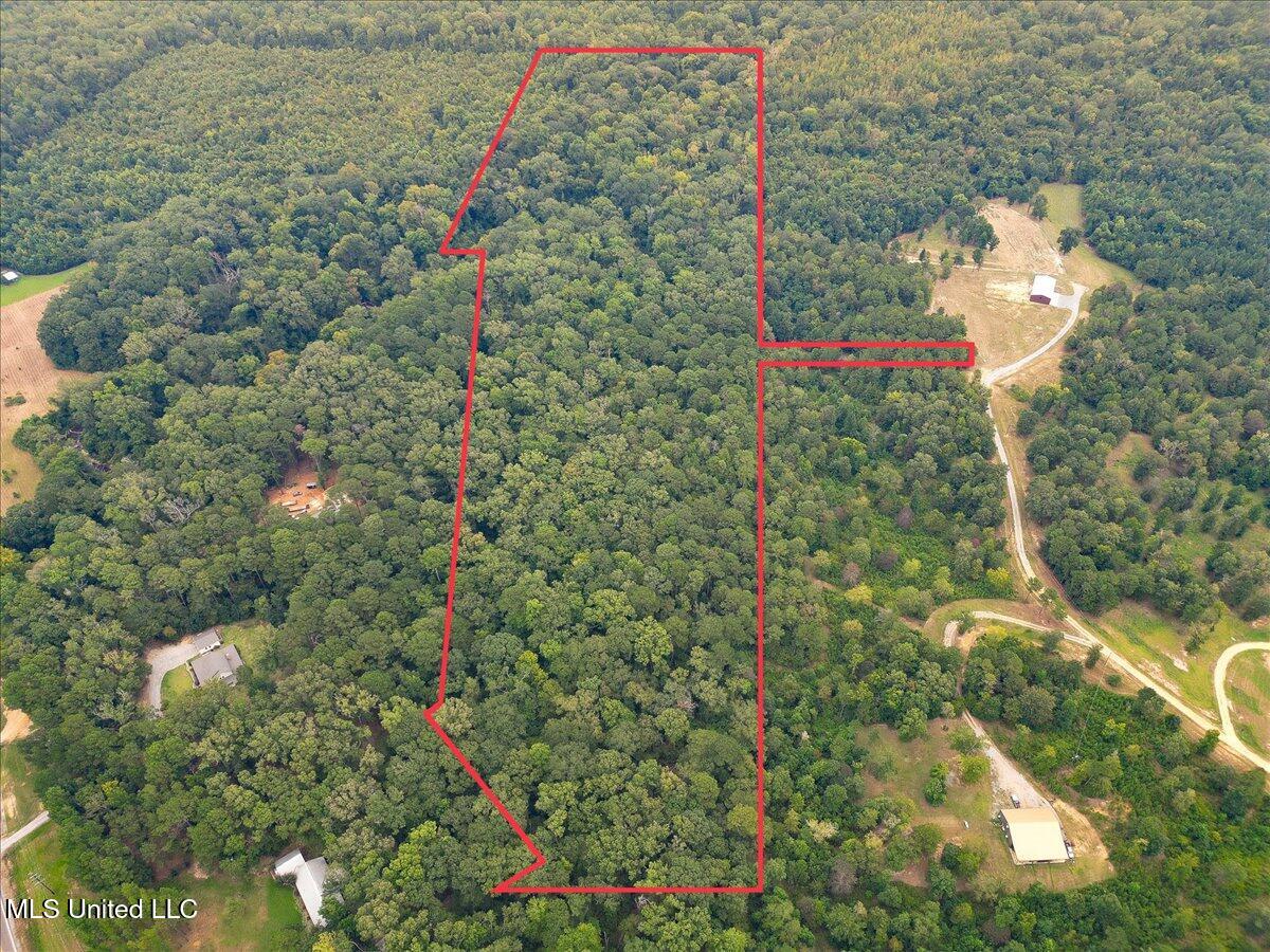 1270 Hwy 469 Property Photo 9