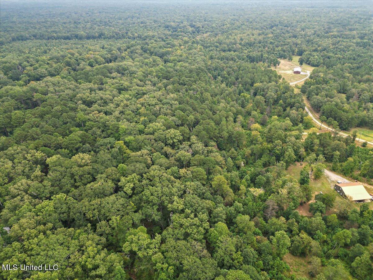 1270 Hwy 469 Property Photo 10