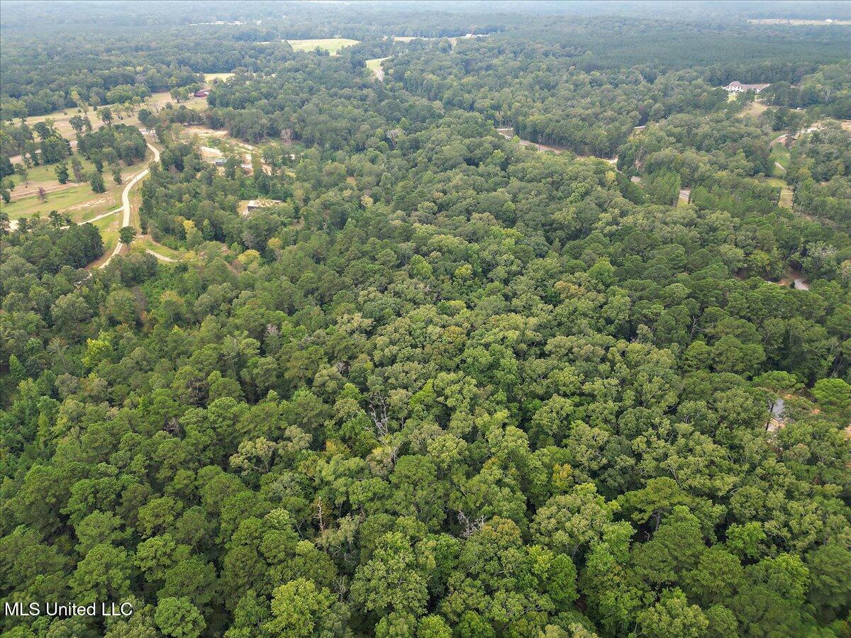 1270 Hwy 469 Property Photo 11