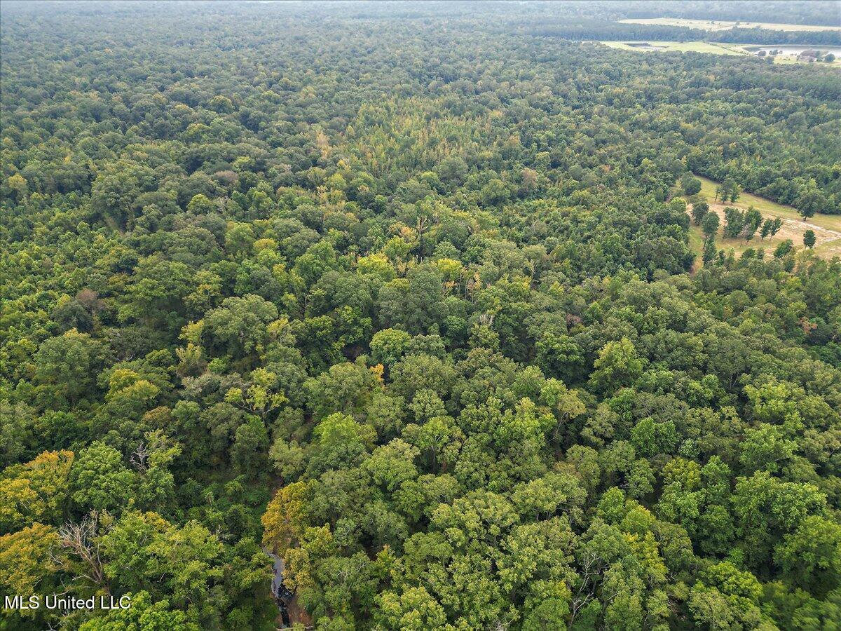 1270 Hwy 469 Property Photo 12