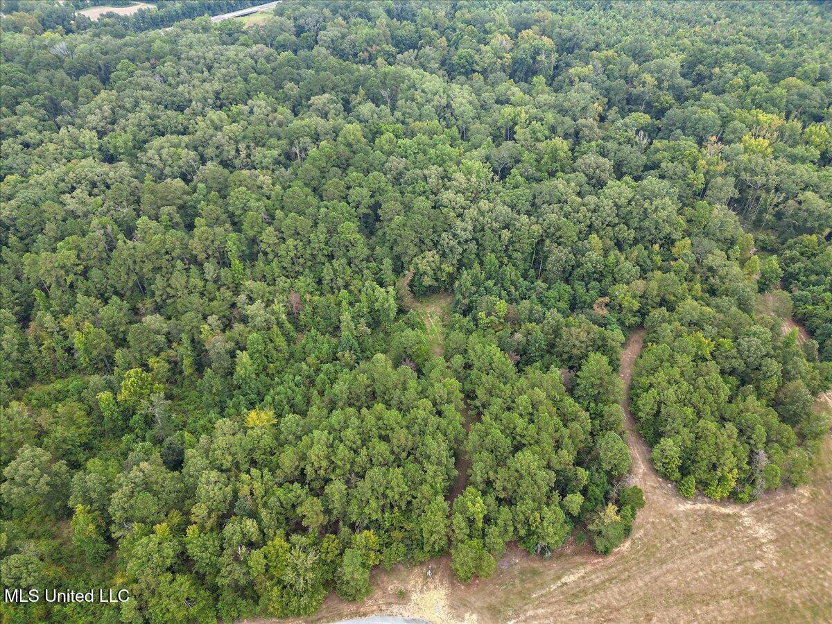 1270 Hwy 469 Property Photo 13