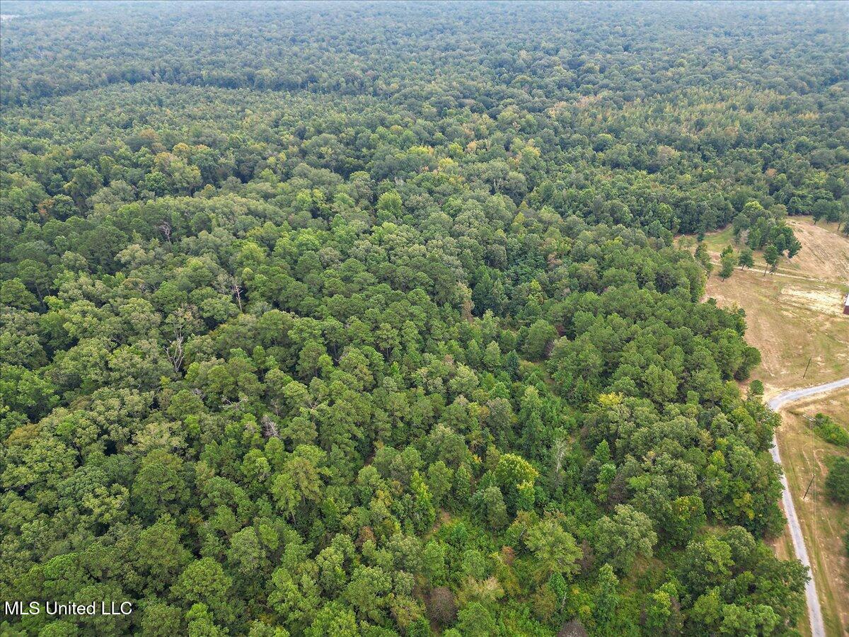 1270 Hwy 469 Property Photo 14