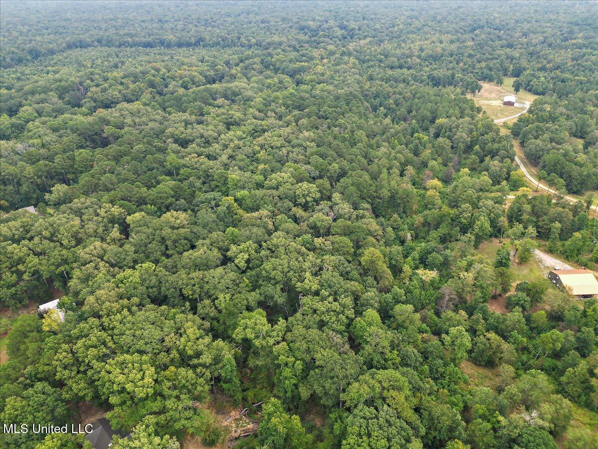 1270 Hwy 469 Property Photo 15