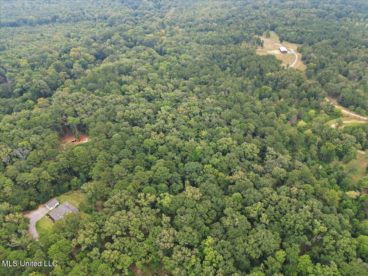 1270 Hwy 469 Property Photo 16