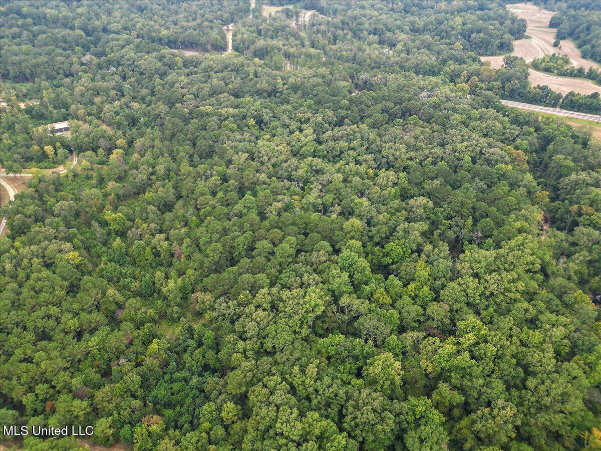 1270 Hwy 469 Property Photo 17