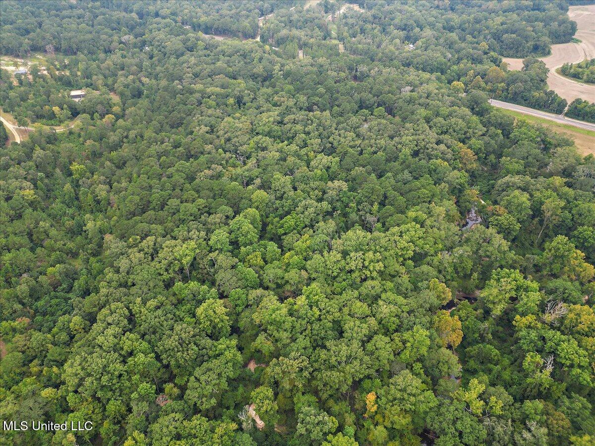 1270 Hwy 469 Property Photo 18